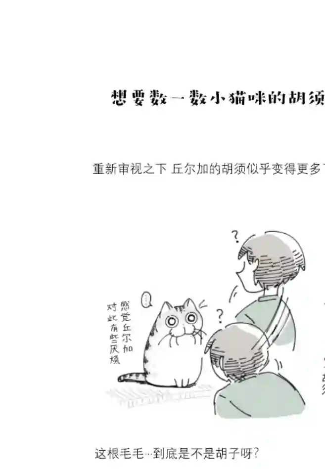 关于养猫我一直是新手第84话