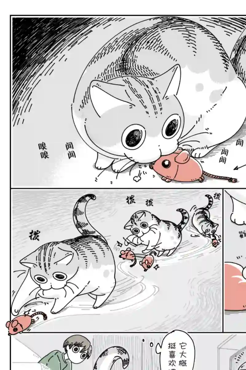 关于养猫我一直是新手第85话