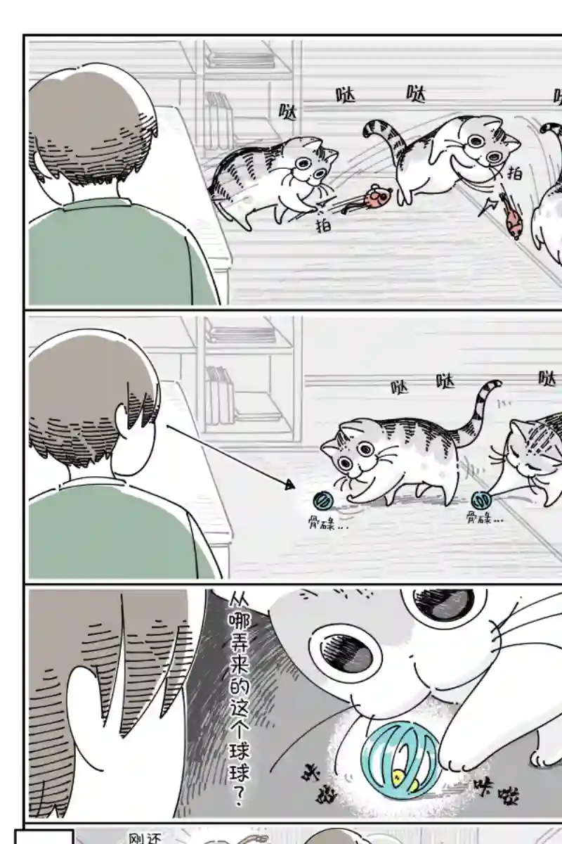 关于养猫我一直是新手第85话