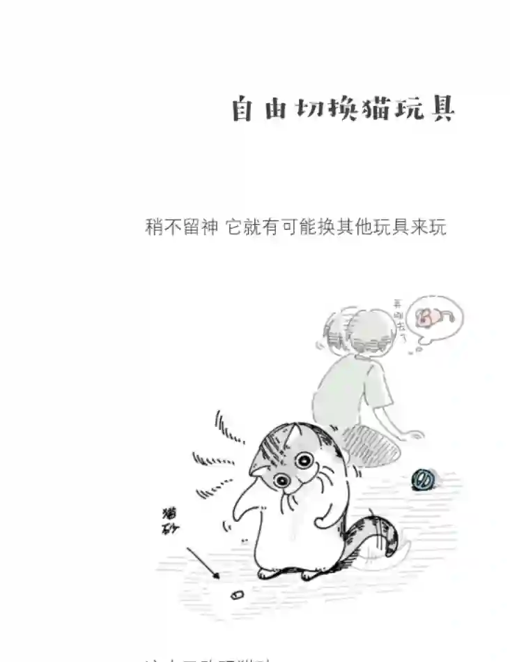 关于养猫我一直是新手第85话