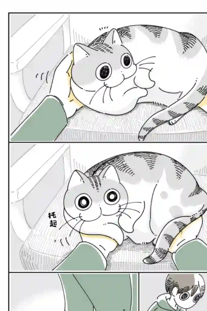关于养猫我一直是新手第86话
