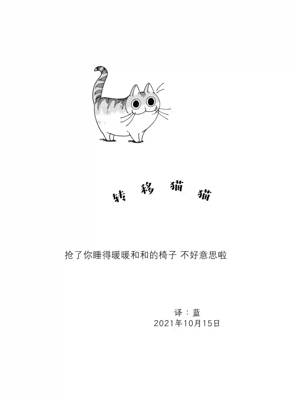 关于养猫我一直是新手第86话