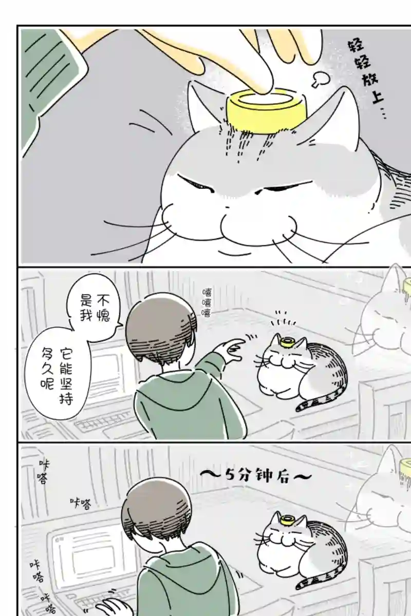 关于养猫我一直是新手第87话