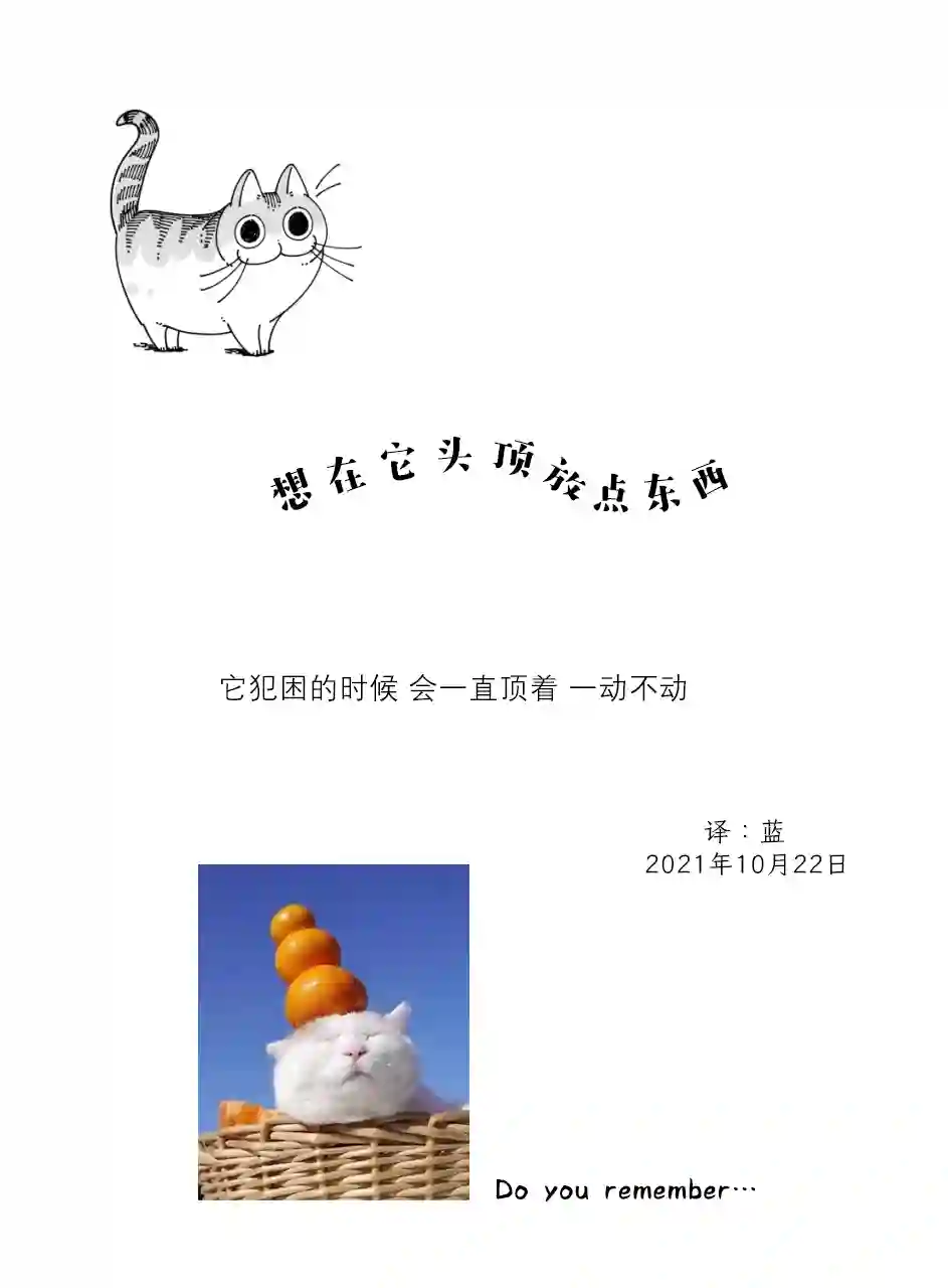 关于养猫我一直是新手第87话