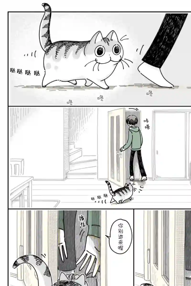 关于养猫我一直是新手第88话