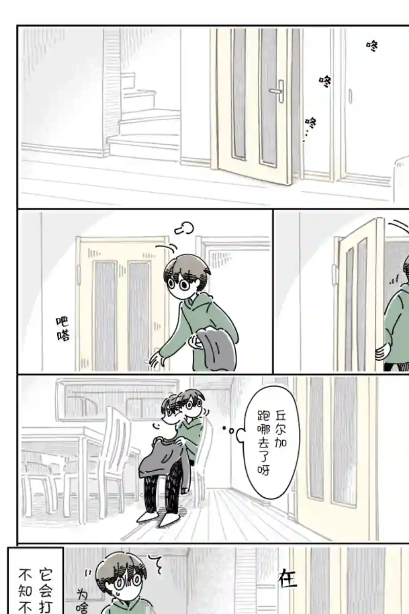 关于养猫我一直是新手第88话