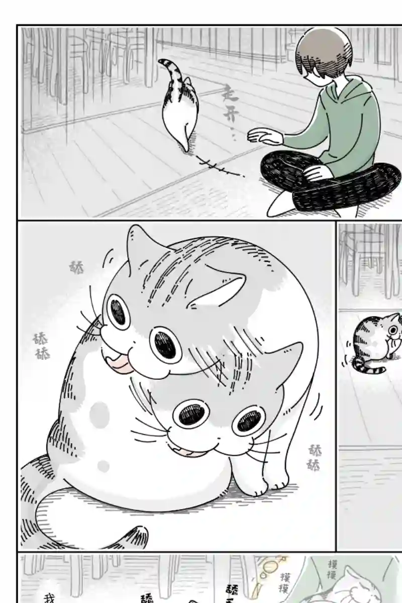 关于养猫我一直是新手第90话