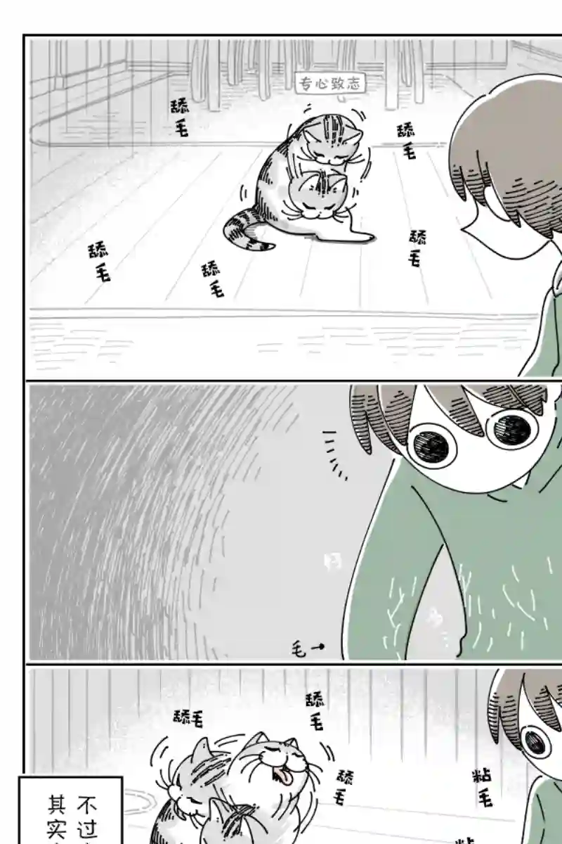 关于养猫我一直是新手第90话