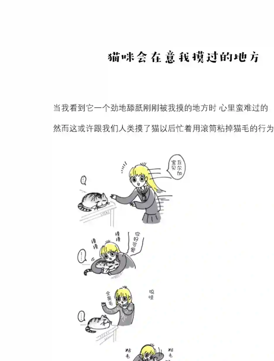 关于养猫我一直是新手第90话