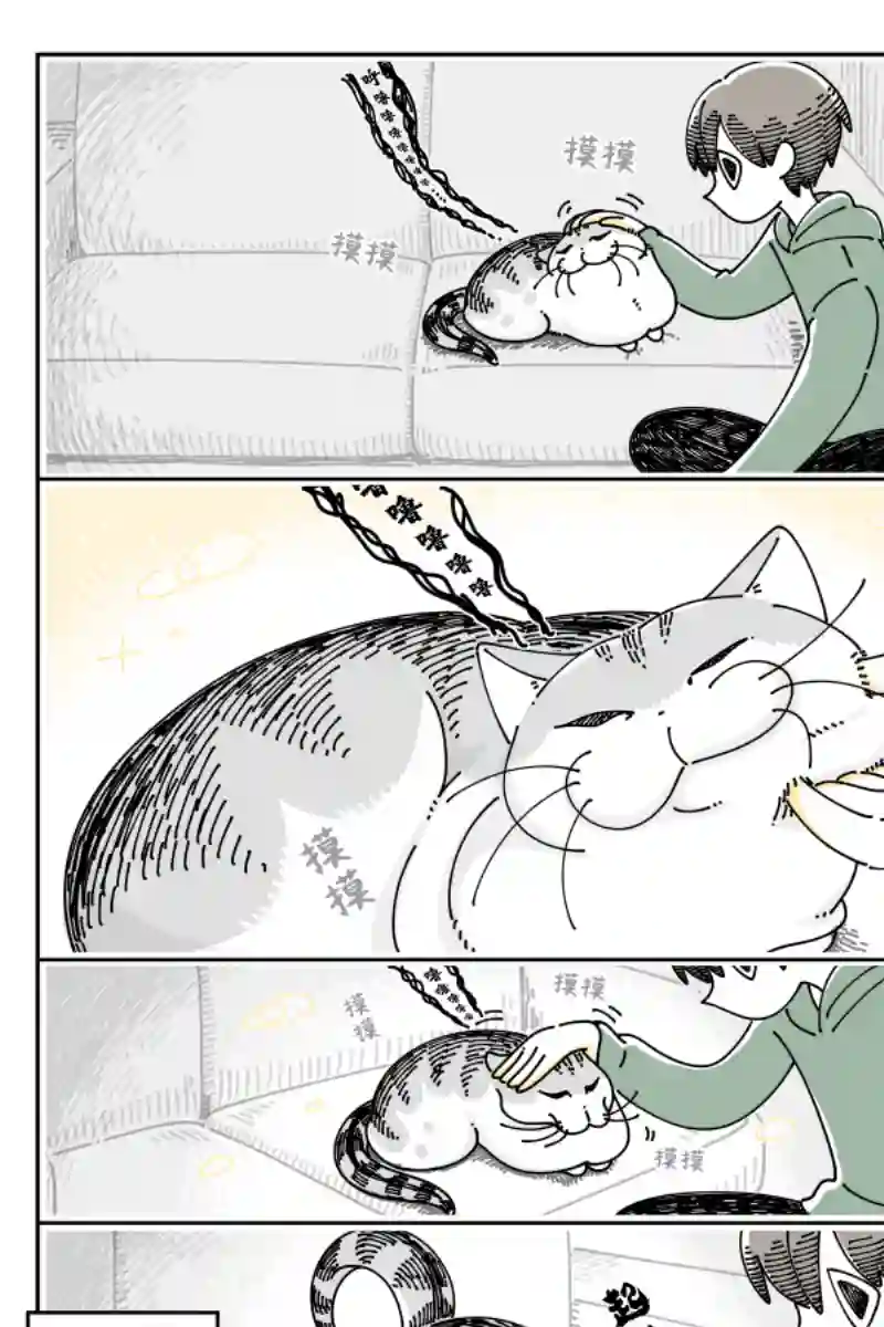 关于养猫我一直是新手第92话