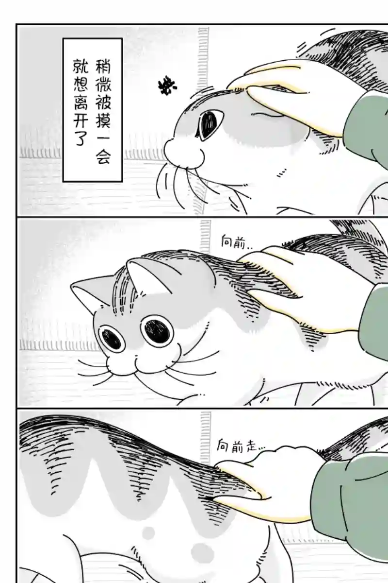 关于养猫我一直是新手第92话