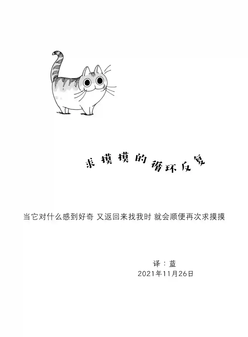 关于养猫我一直是新手第92话