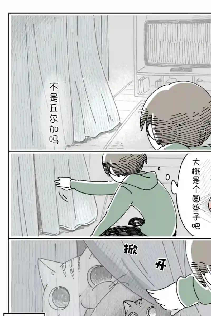 关于养猫我一直是新手第93话