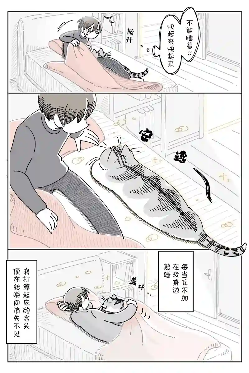 关于养猫我一直是新手第94话