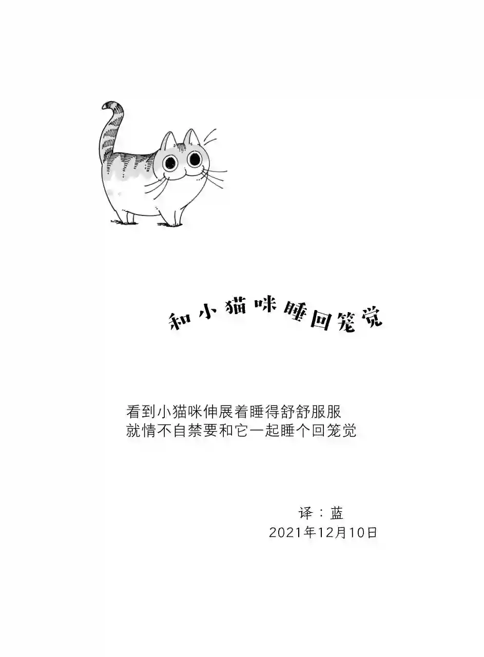 关于养猫我一直是新手第94话