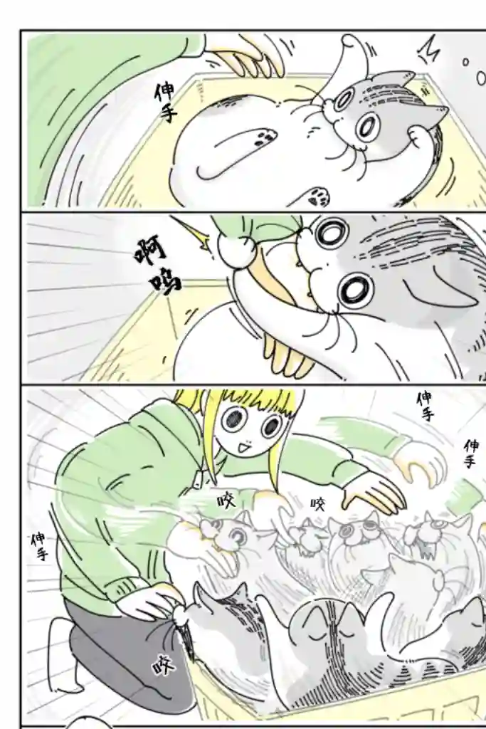 关于养猫我一直是新手第95话