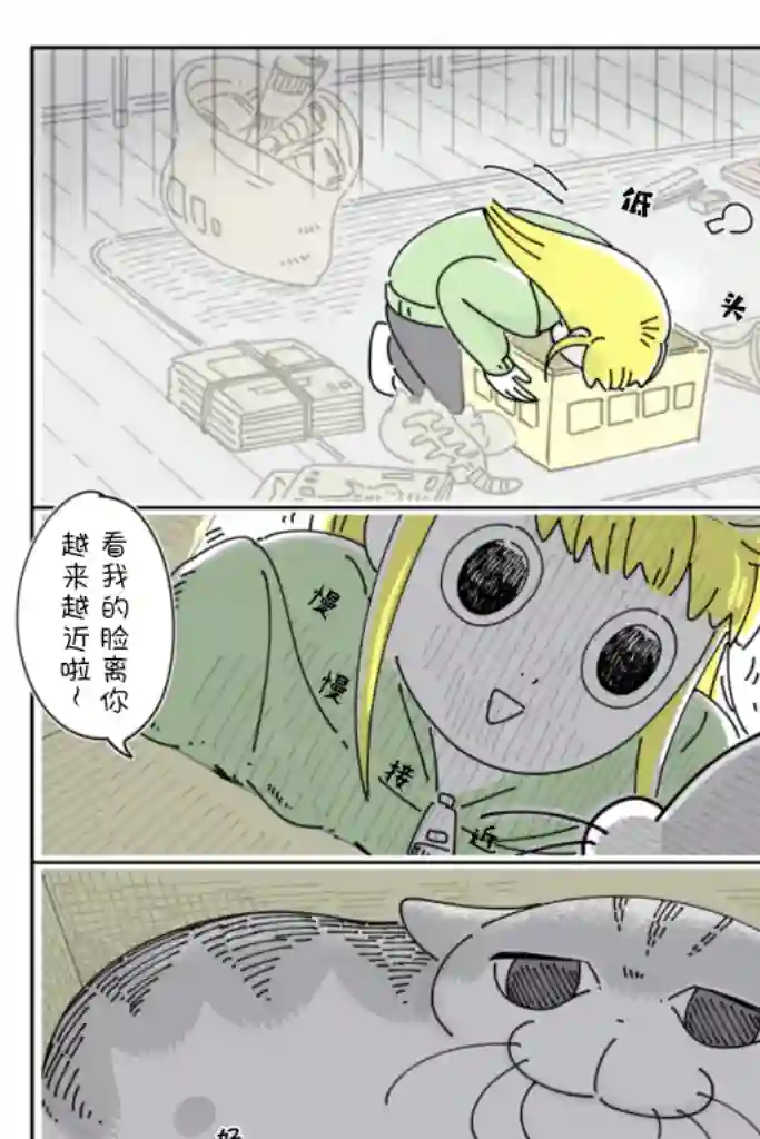 关于养猫我一直是新手第95话