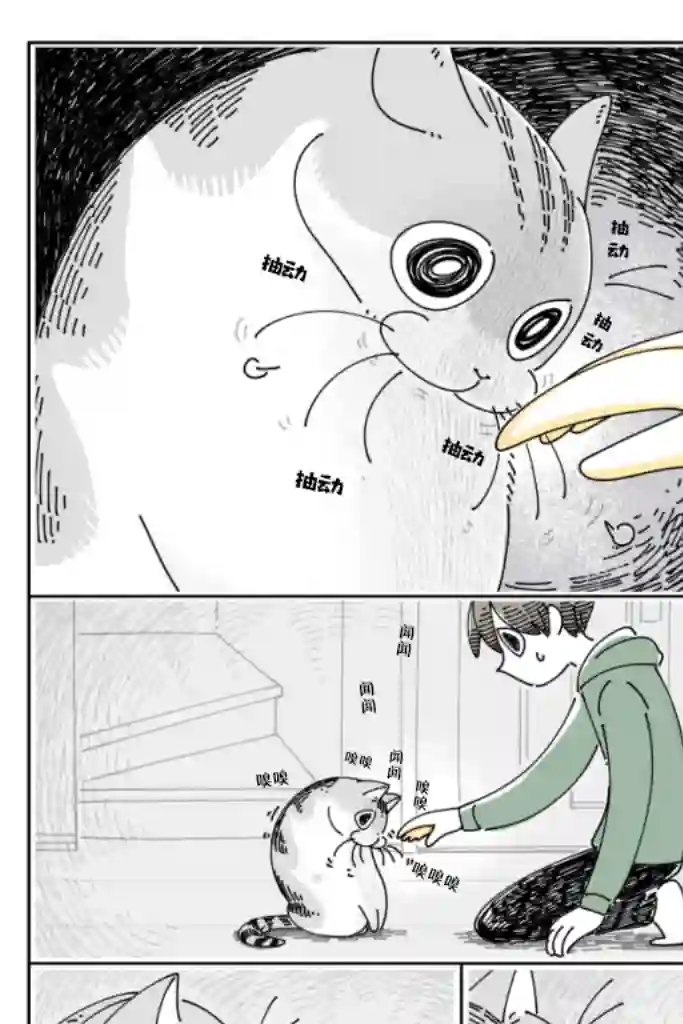 关于养猫我一直是新手第96话