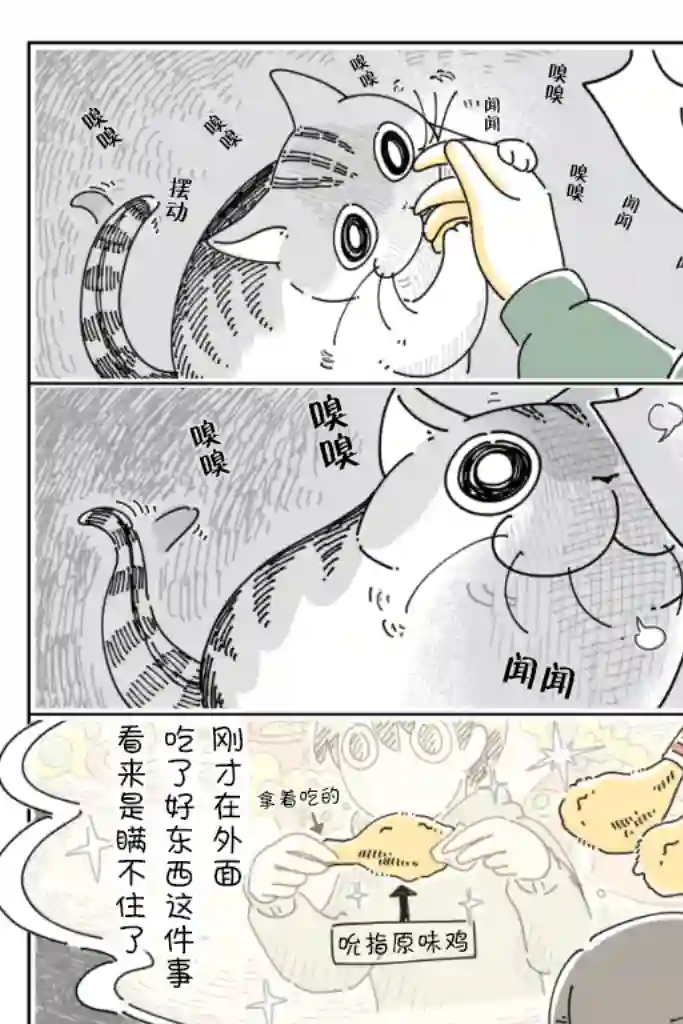 关于养猫我一直是新手第96话