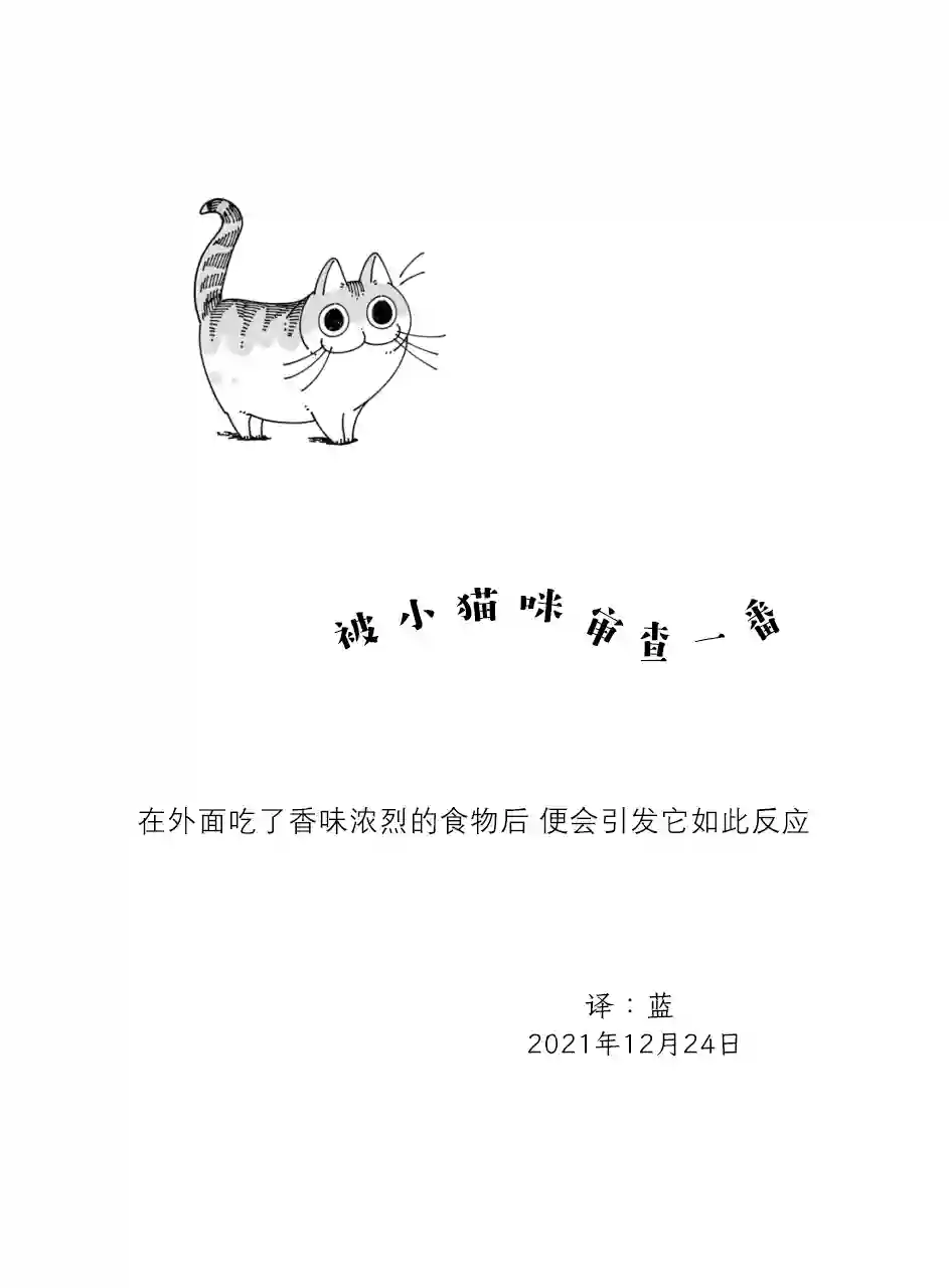关于养猫我一直是新手第96话