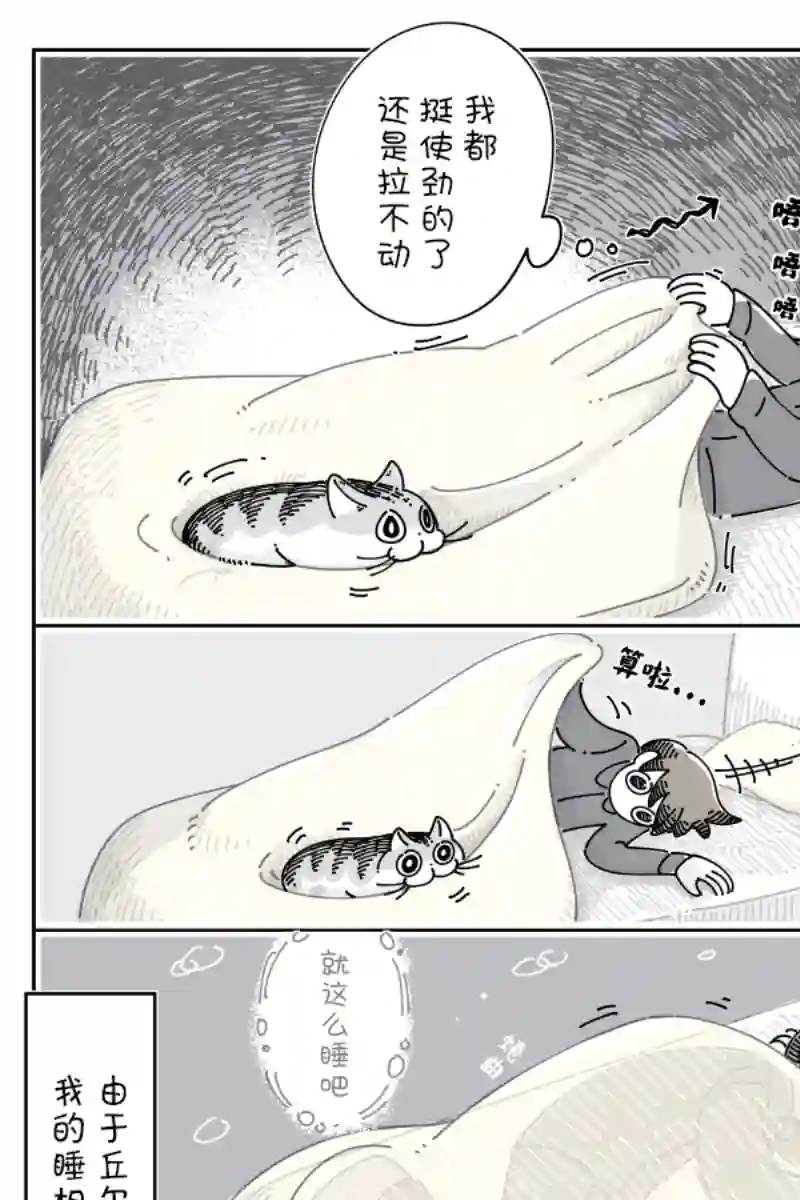 关于养猫我一直是新手第98话