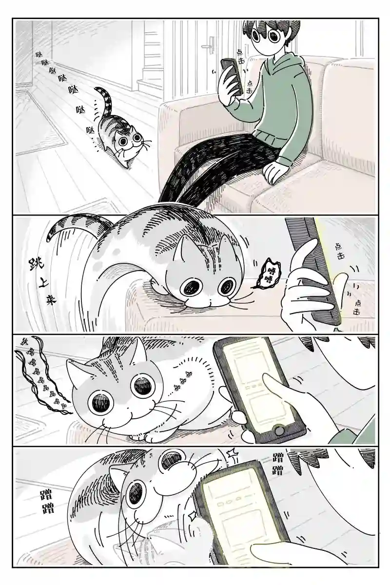 关于养猫我一直是新手第99话