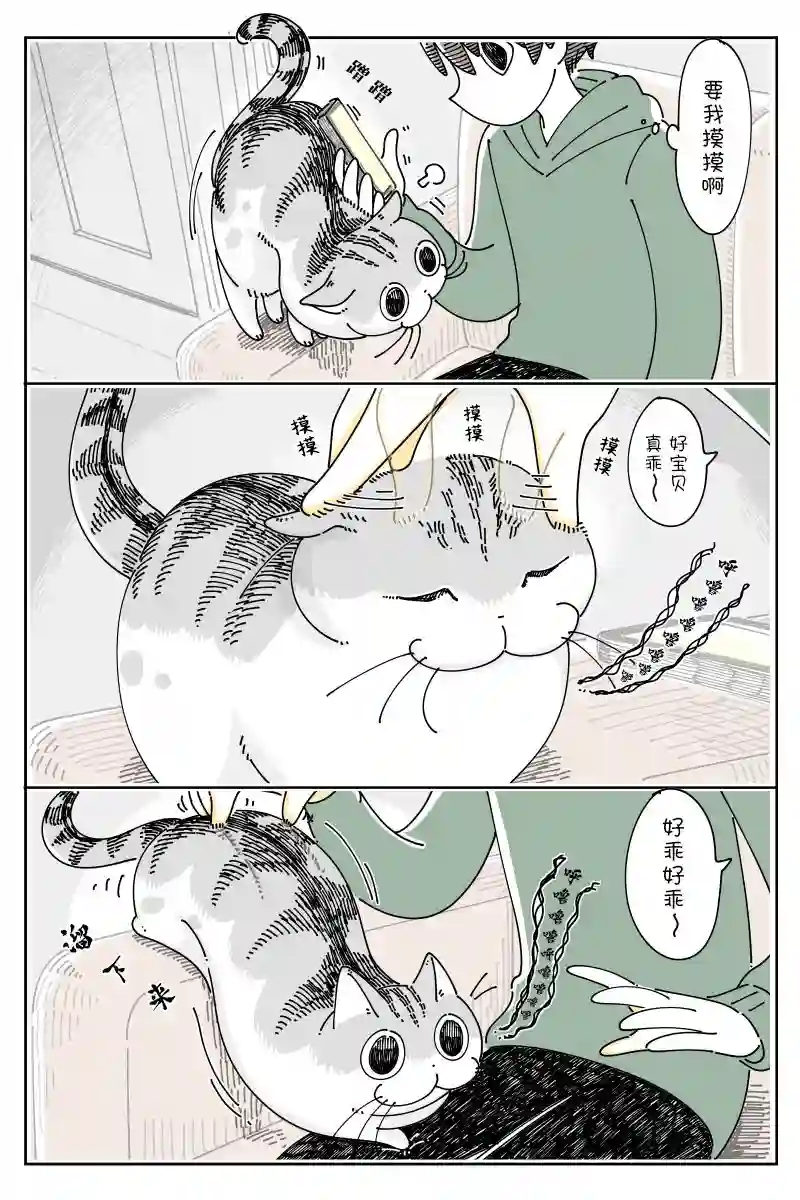 关于养猫我一直是新手第99话