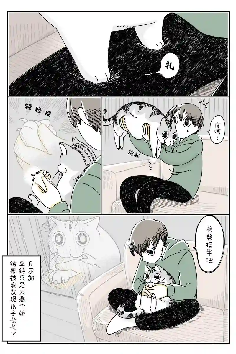 关于养猫我一直是新手第99话