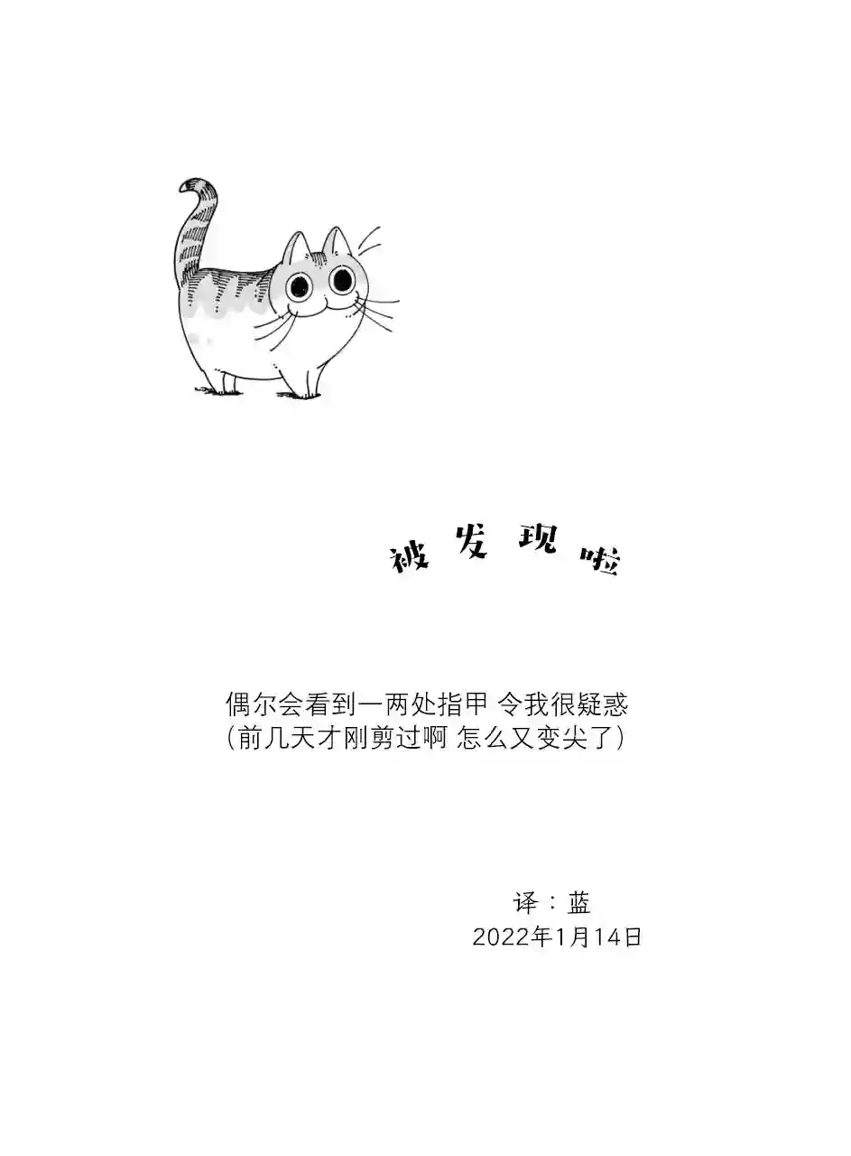 关于养猫我一直是新手第99话