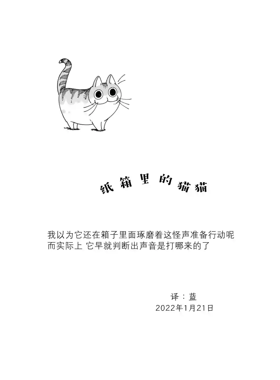 关于养猫我一直是新手第100话