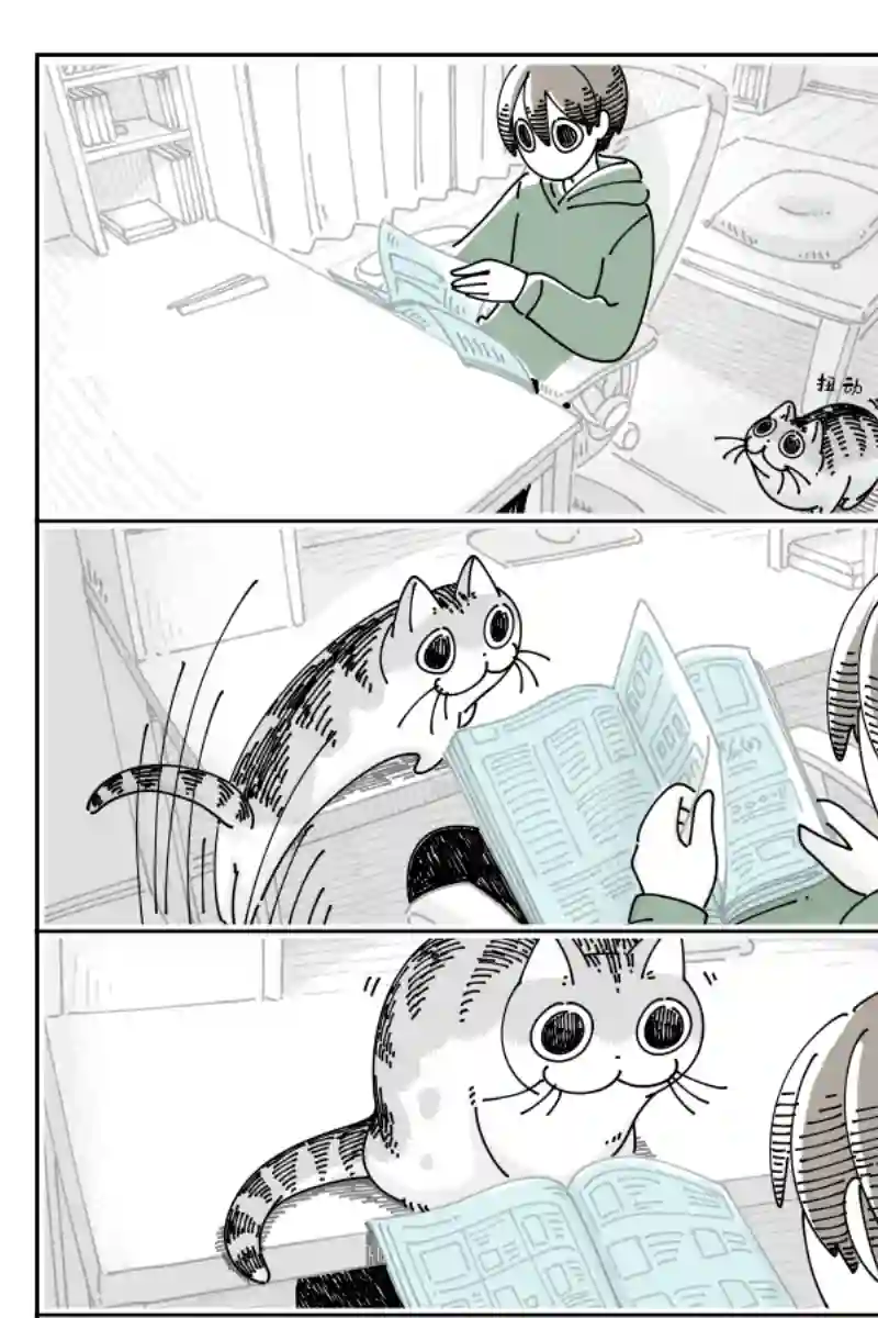 关于养猫我一直是新手第101话