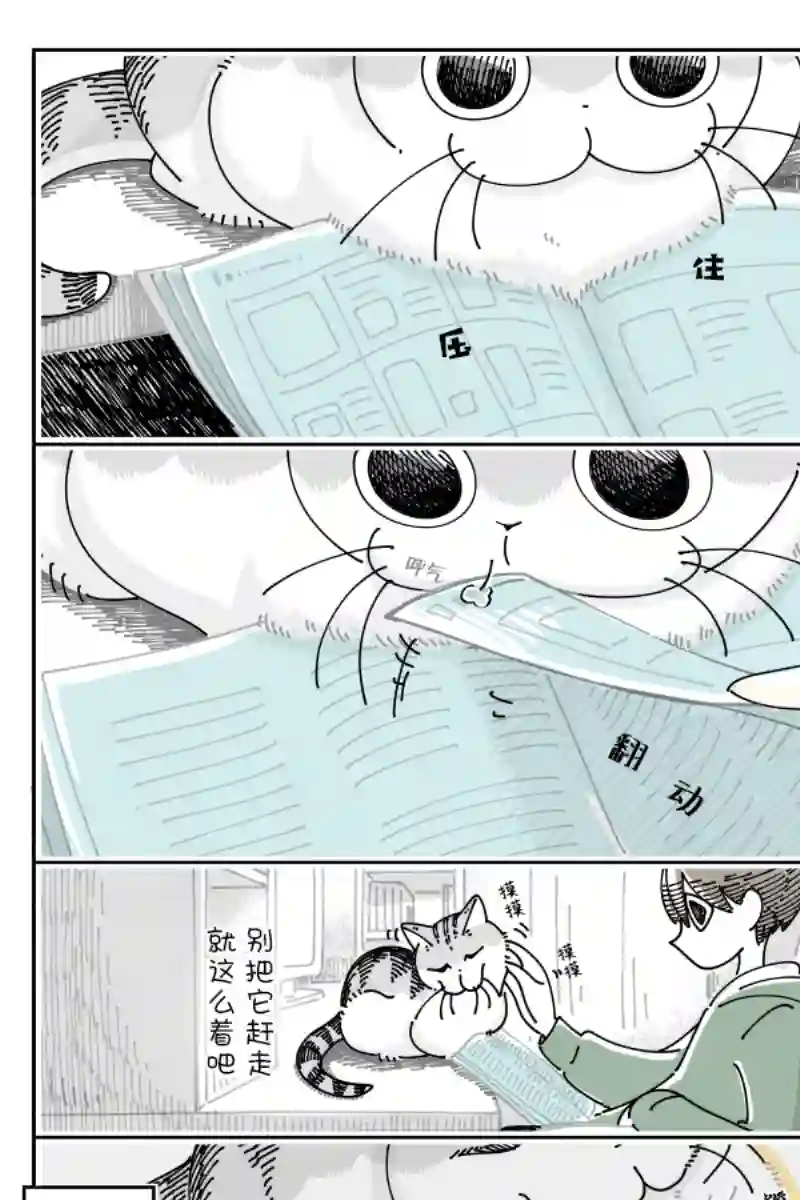 关于养猫我一直是新手第101话