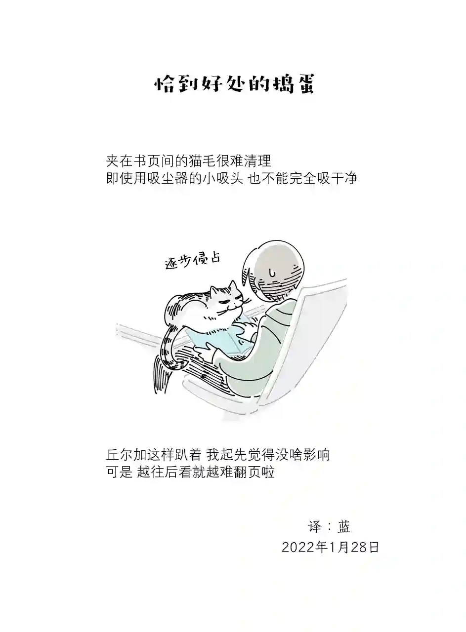 关于养猫我一直是新手第101话