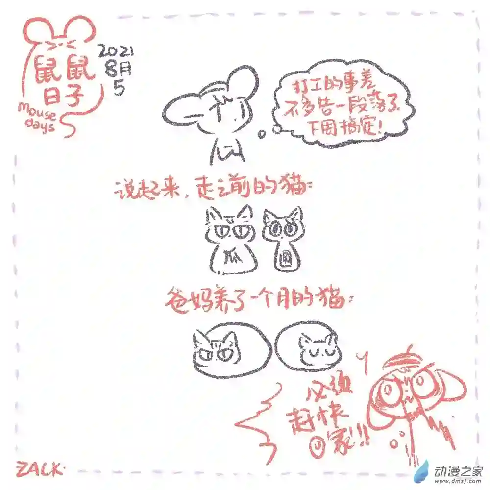 鼠鼠日子12 八月四日~八月十三日的生活