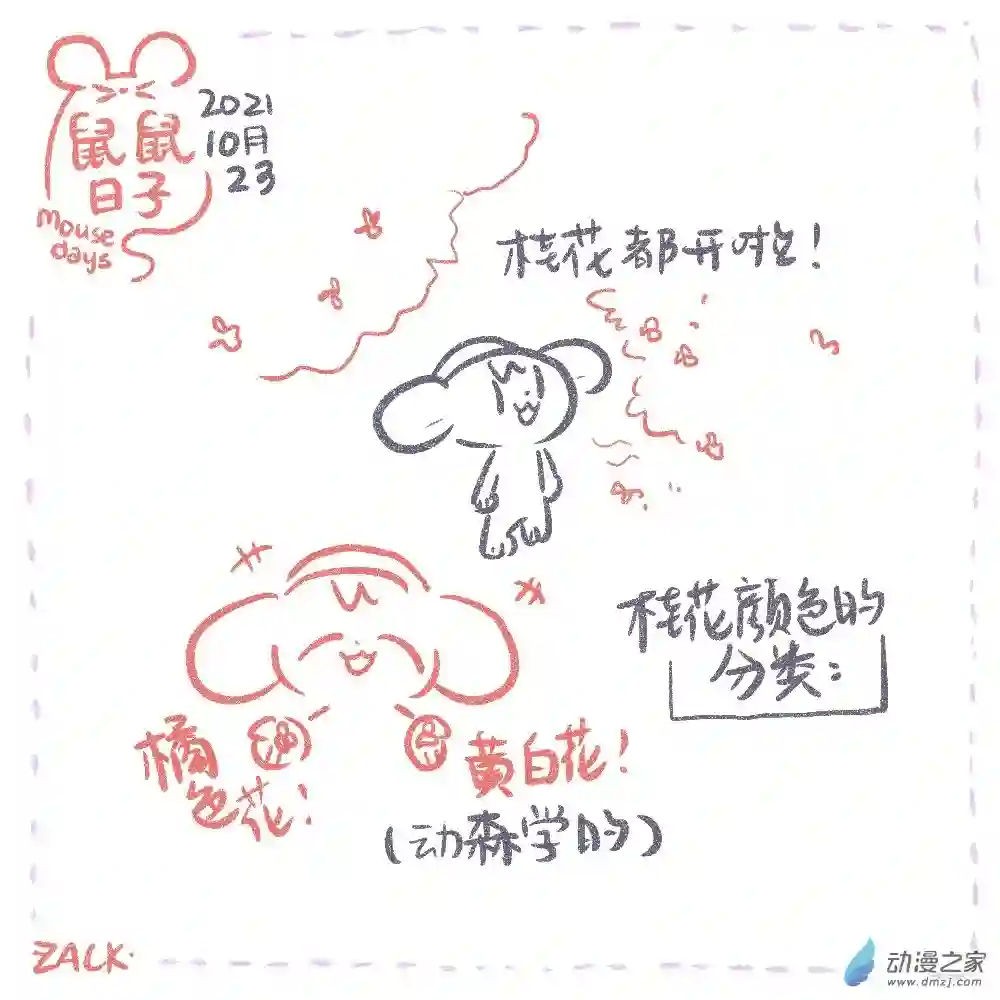 鼠鼠日子20 十月二十二~十月三十一日的生活