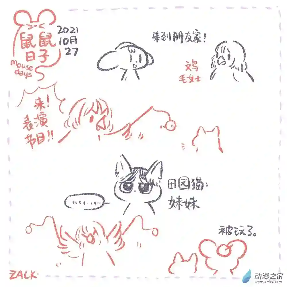 鼠鼠日子20 十月二十二~十月三十一日的生活