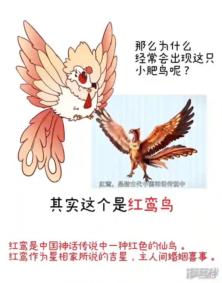 妻主，请享用特别篇 主角团的诞生