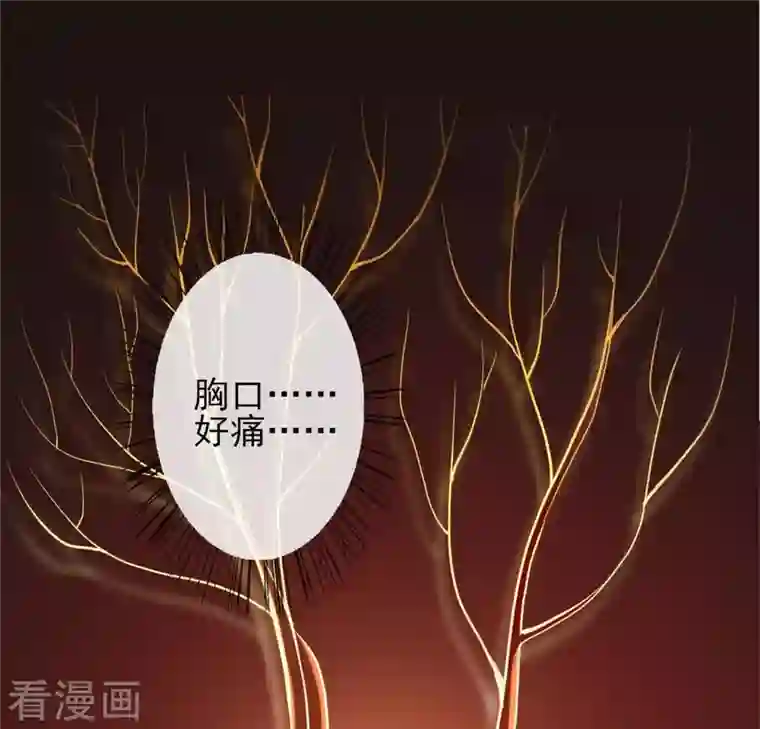 我的血族大人第3话 我是谁？我在哪儿？