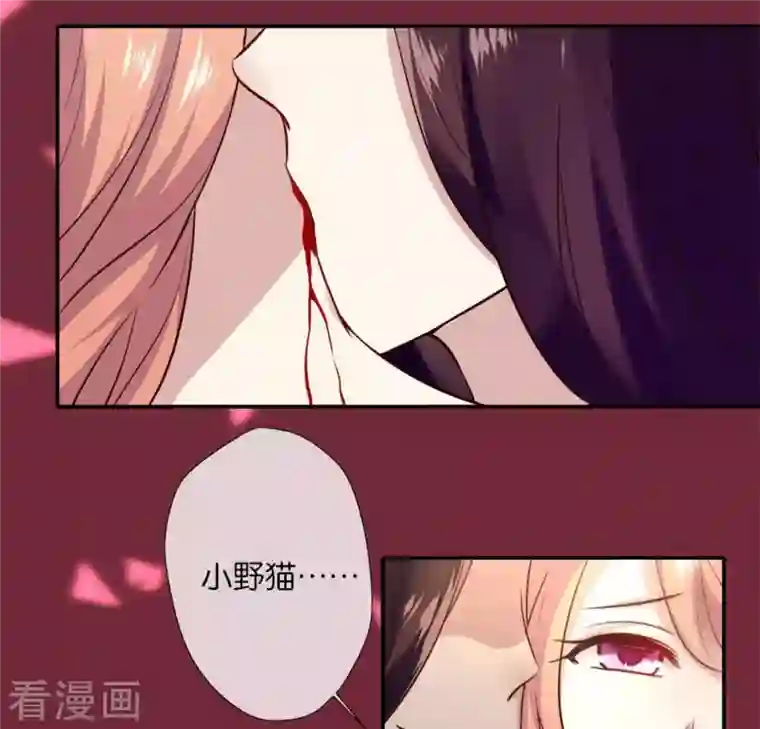 我的血族大人第4话 你逃不掉的，小野猫