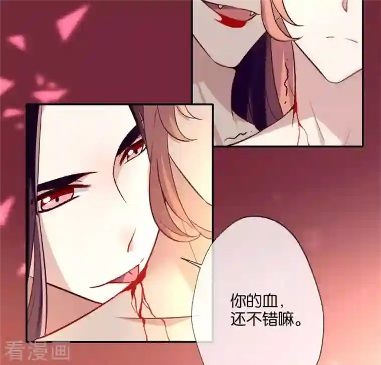 我的血族大人第4话 你逃不掉的，小野猫