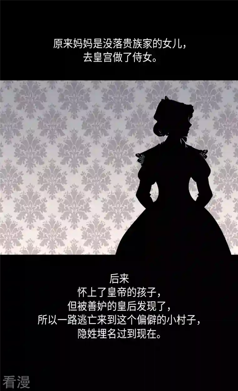 皇帝的独生女第453话 哈维尔的童年