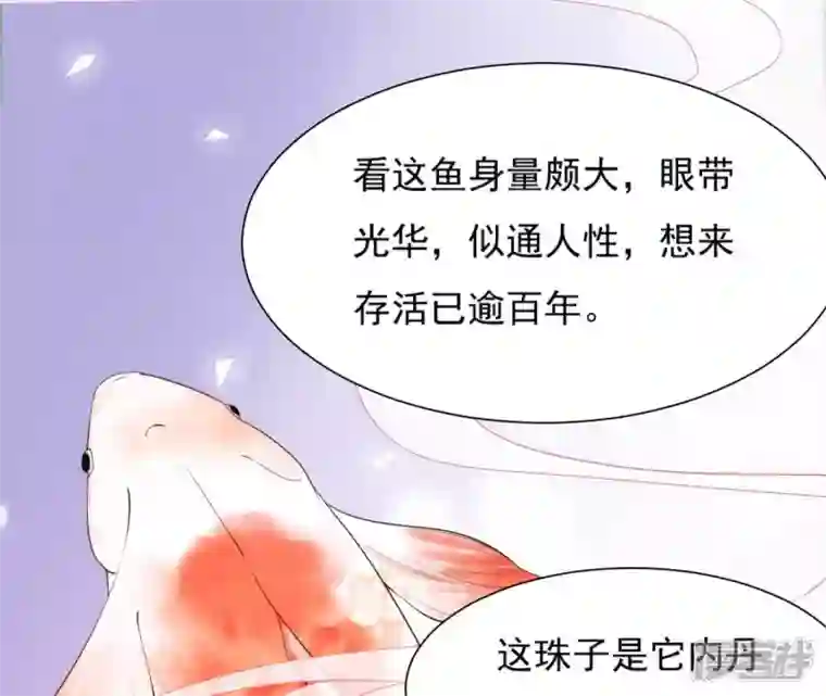 再生缘：我的温柔暴君第47话 锦鲤遗珠