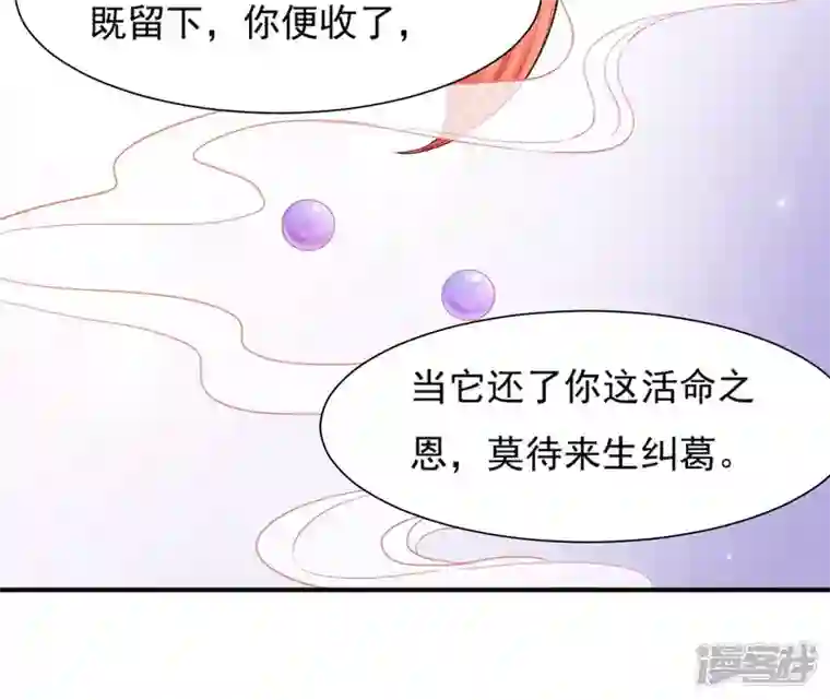 再生缘：我的温柔暴君第47话 锦鲤遗珠