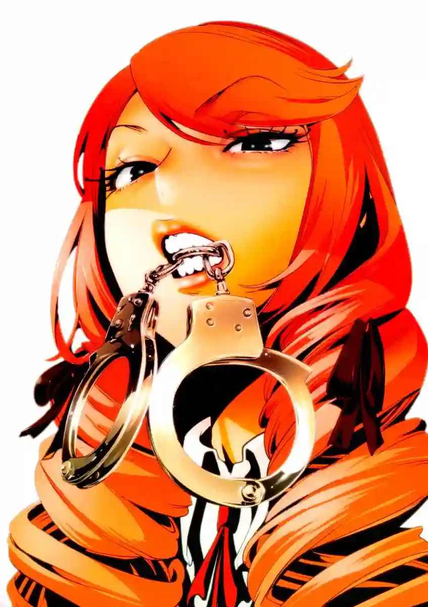 GAMPUKU 眼福 平本彰画集全一卷