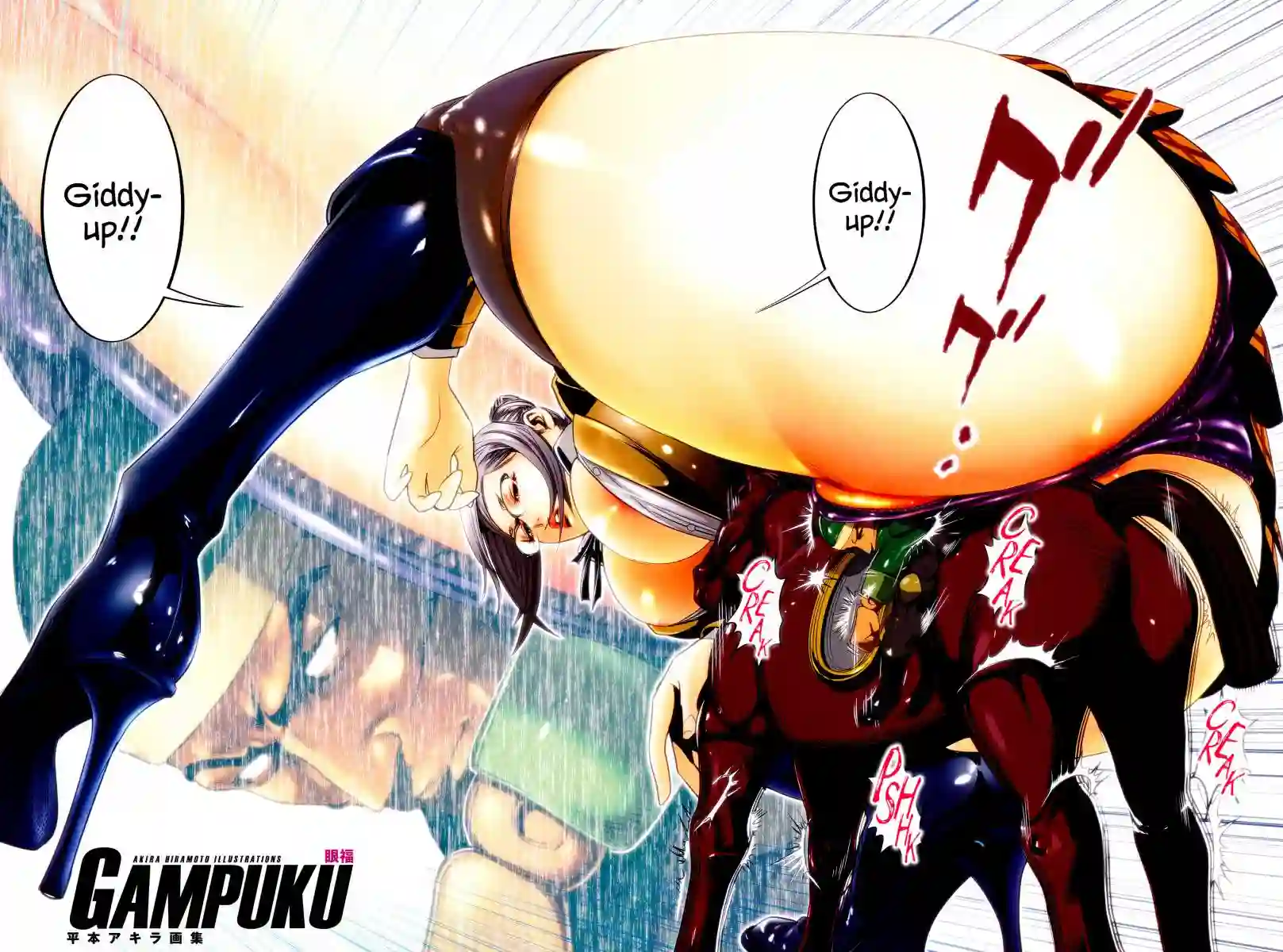 GAMPUKU 眼福 平本彰画集全一卷