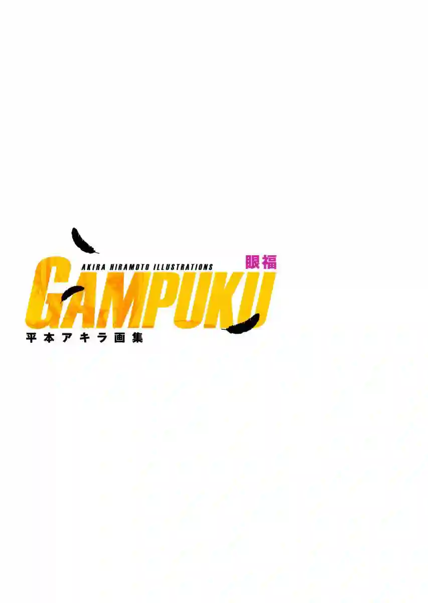 GAMPUKU 眼福 平本彰画集全一卷