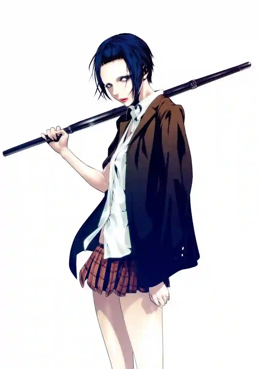 GAMPUKU 眼福 平本彰画集全一卷