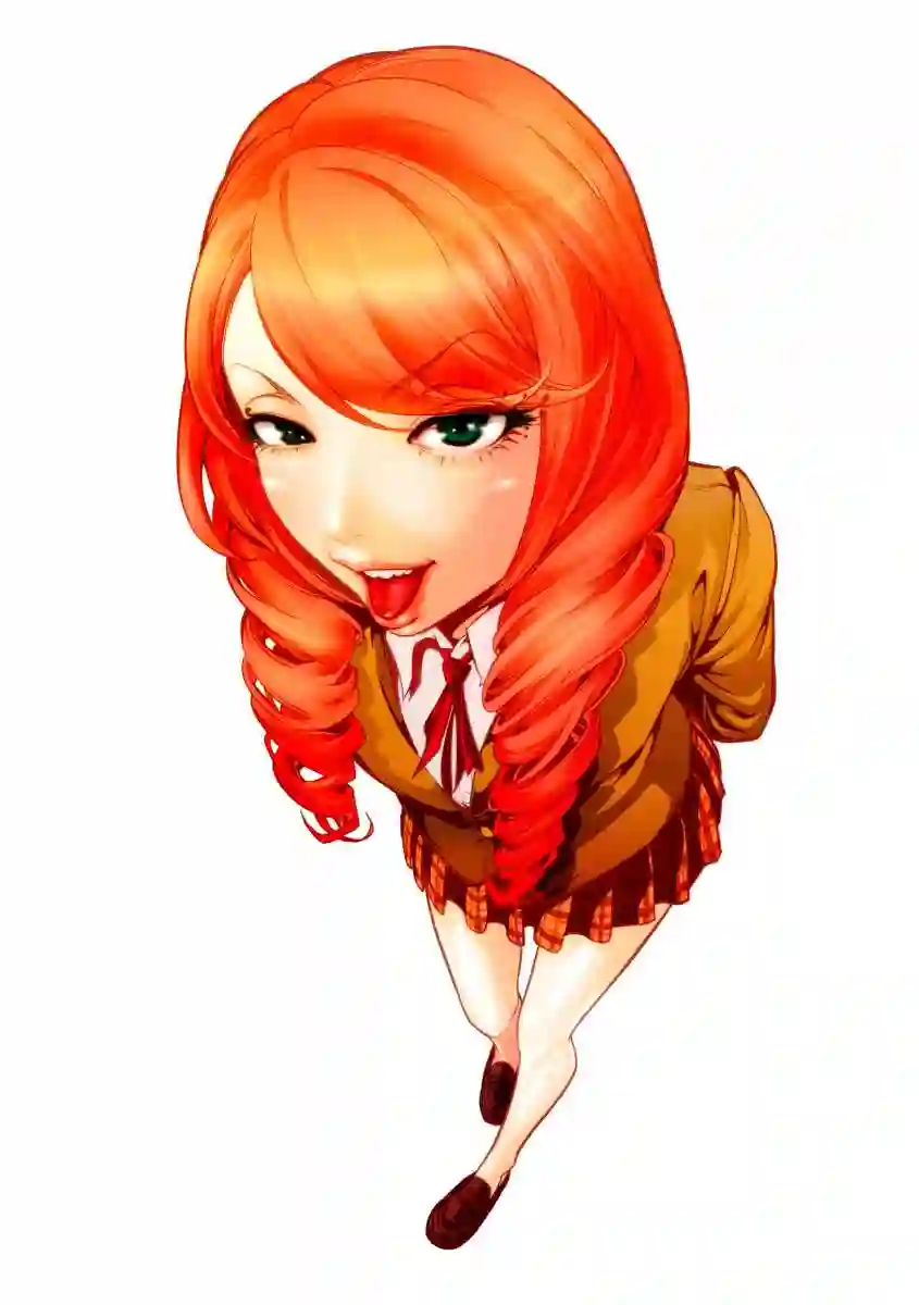 GAMPUKU 眼福 平本彰画集全一卷