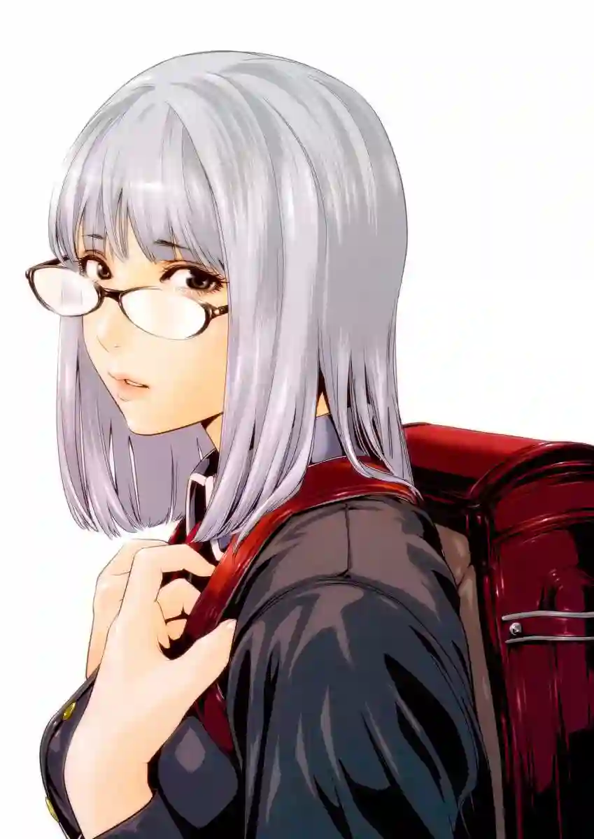 GAMPUKU 眼福 平本彰画集全一卷