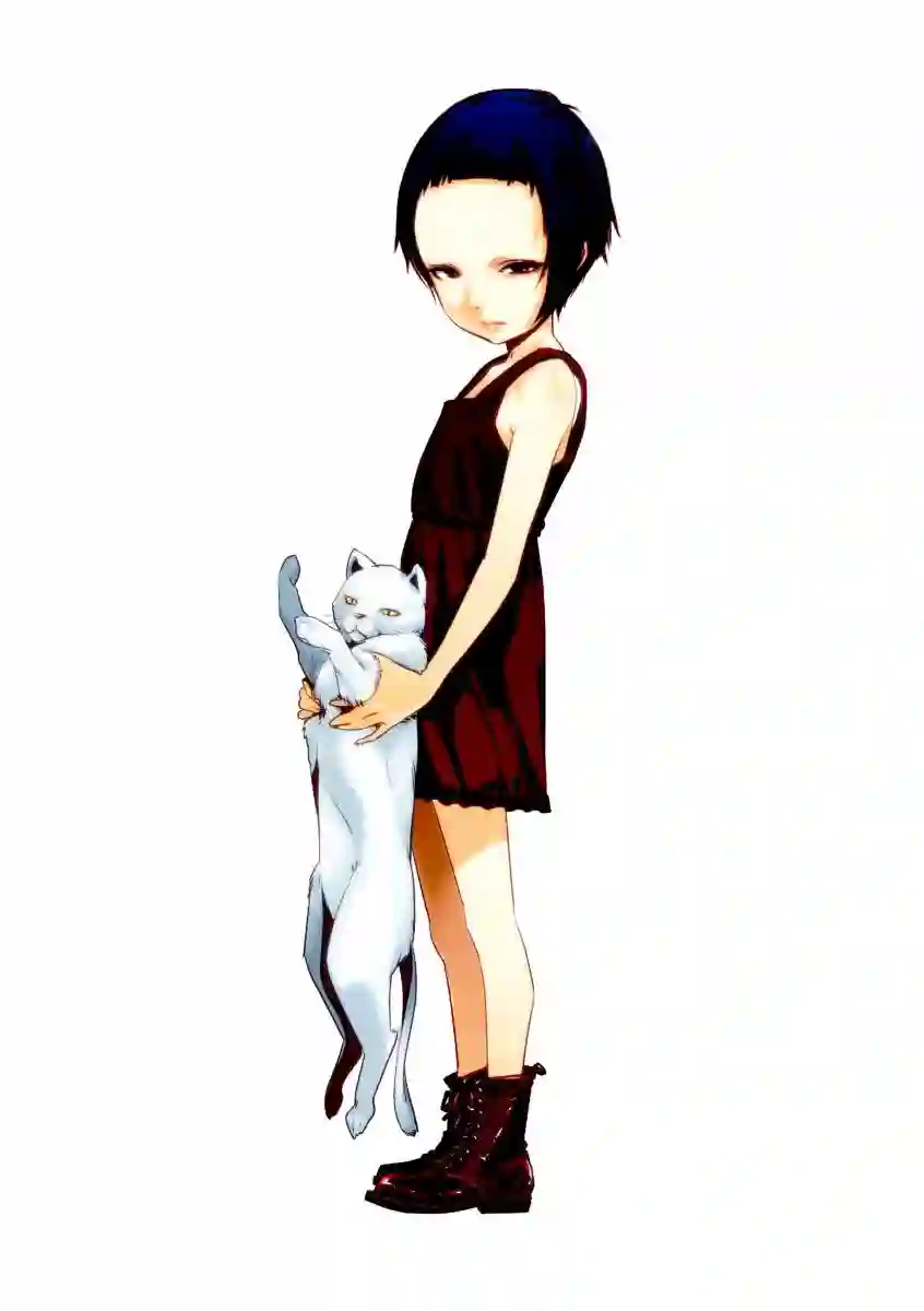 GAMPUKU 眼福 平本彰画集全一卷